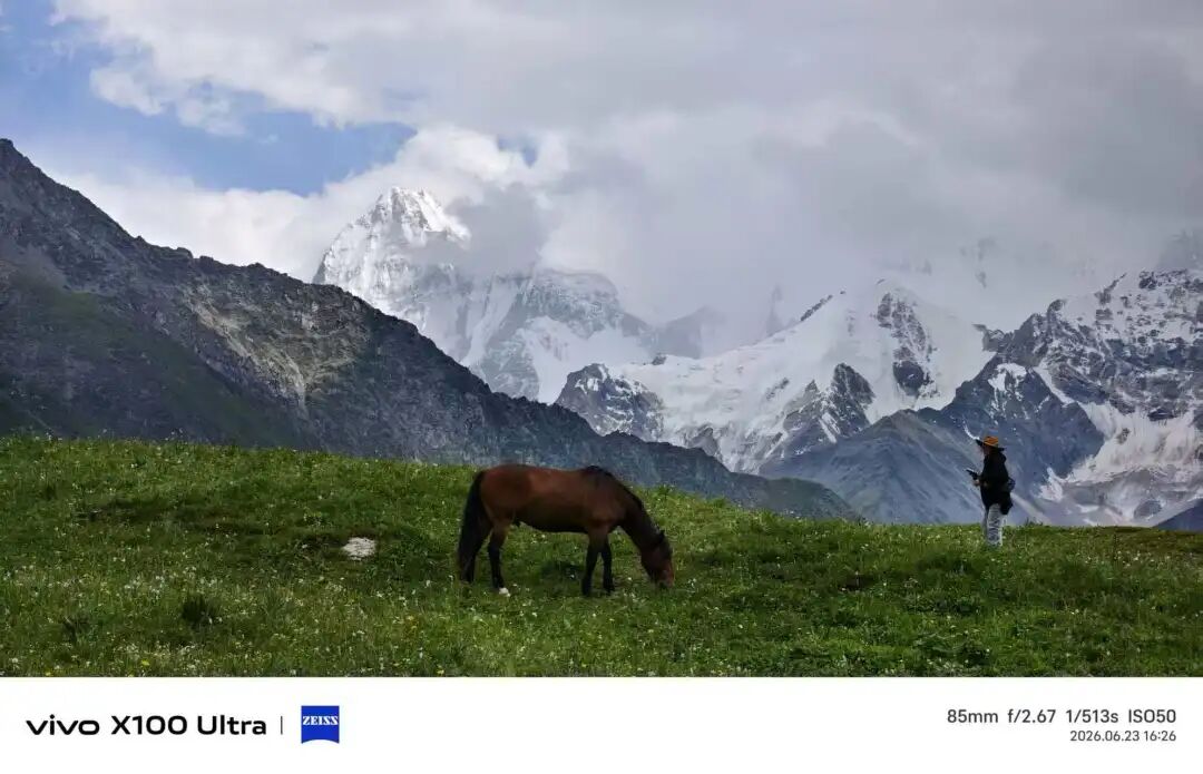 远处雪山与草地上的马