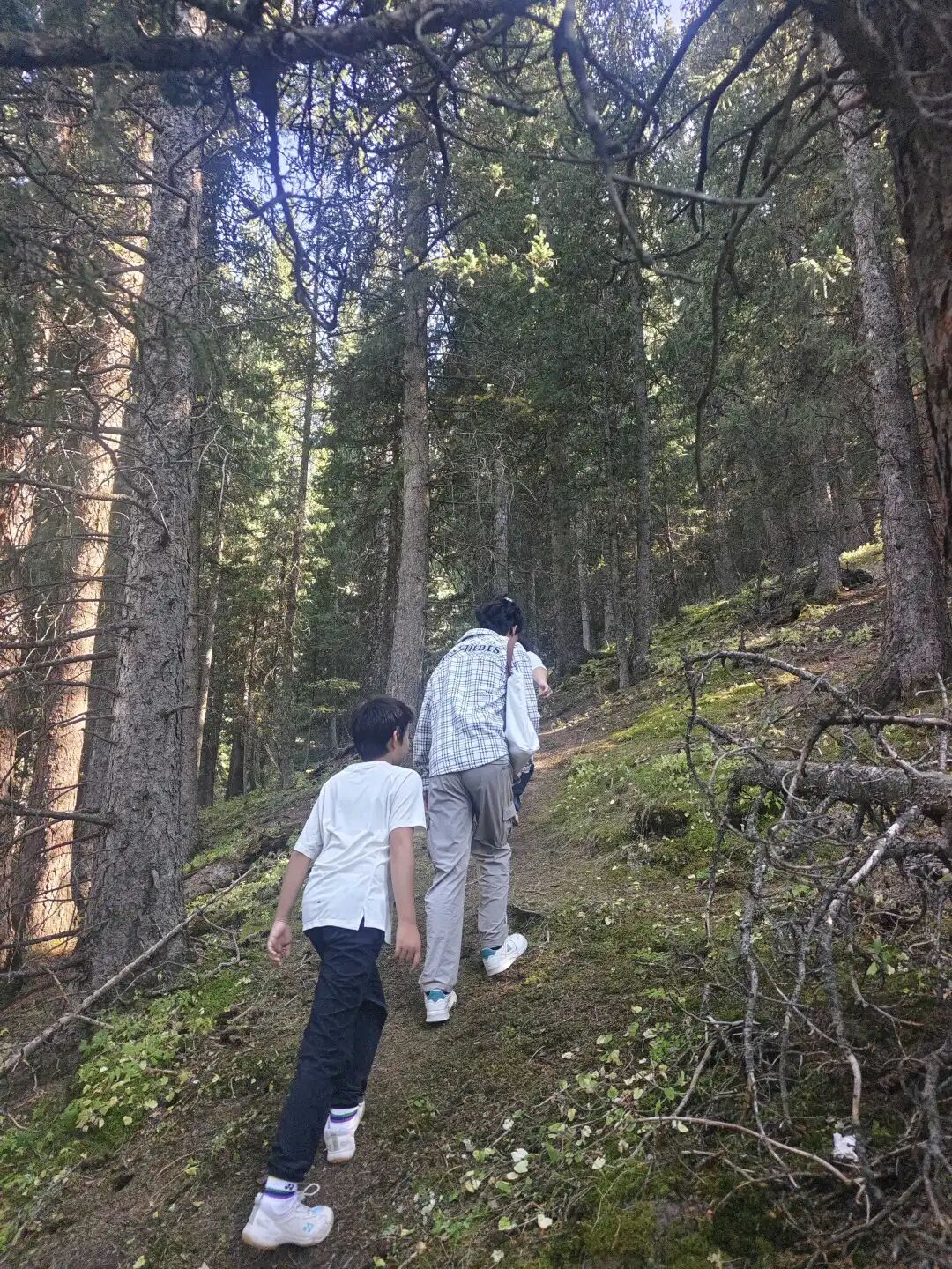 我喜欢,在大山醒来,草木茂盛之时,和孩子们一起去爬山
